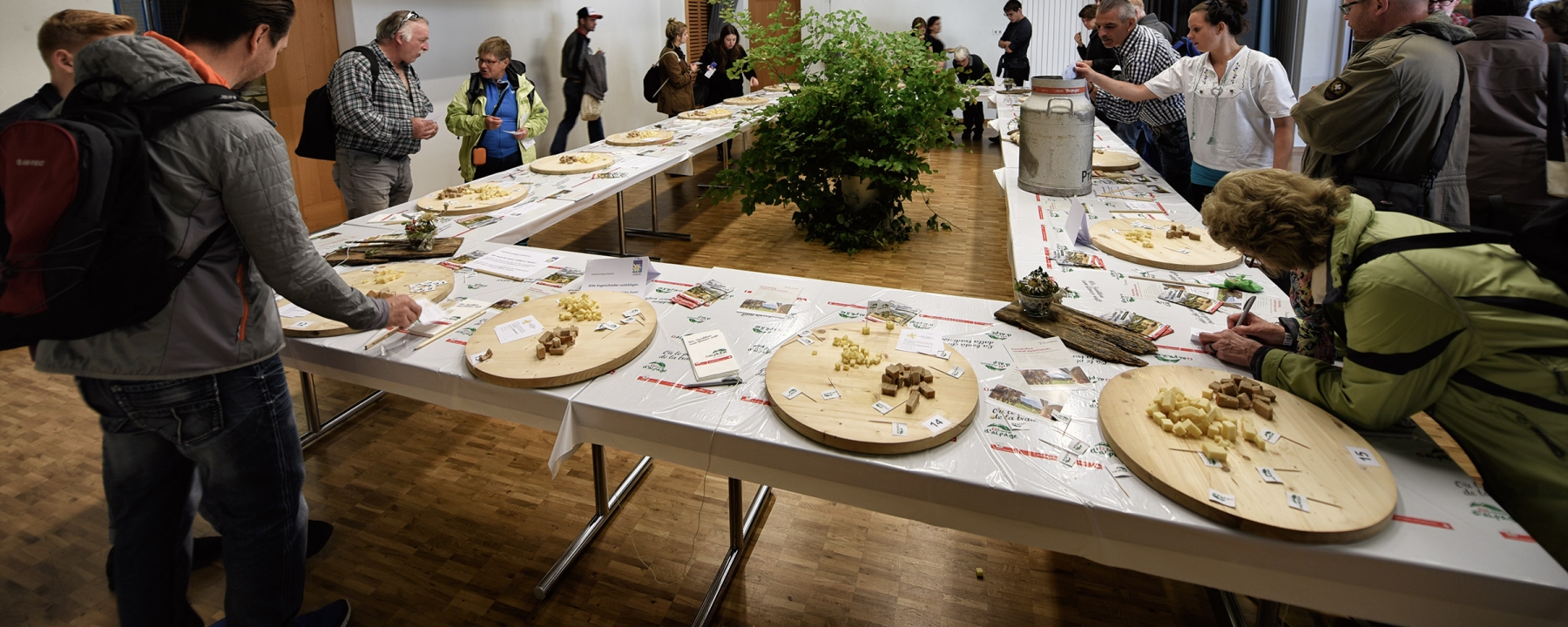 Degustation von Alpkäse in Seewis