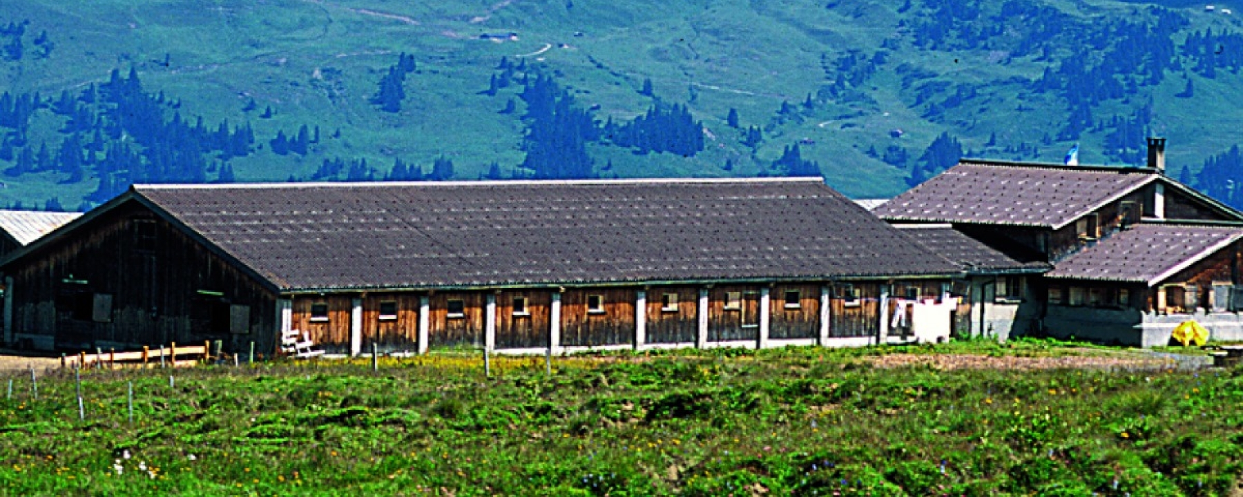 Fideriser Duranna