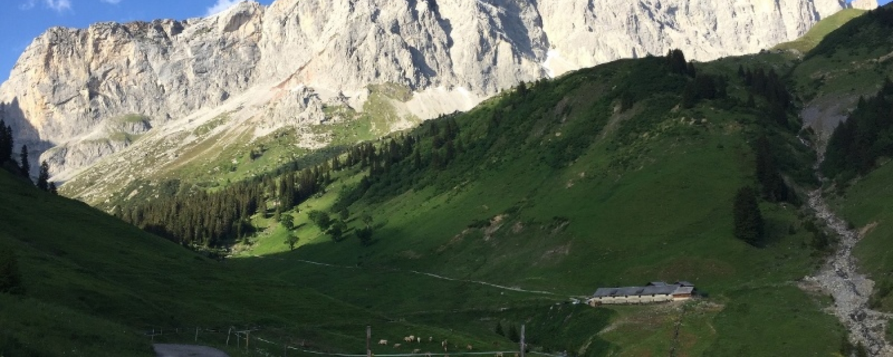Grüscher Älpli