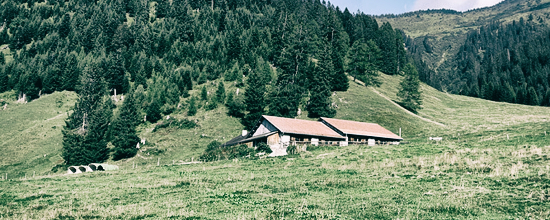 Alp Laubenzug