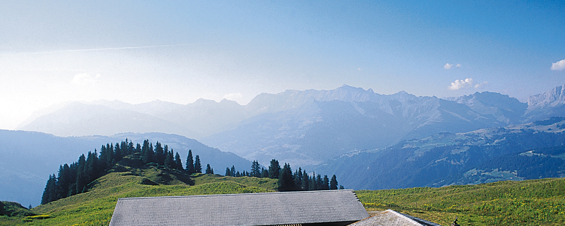 Alp Larein