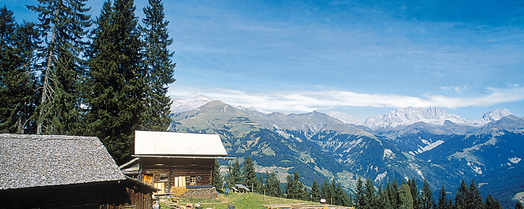 Alp Lengweid