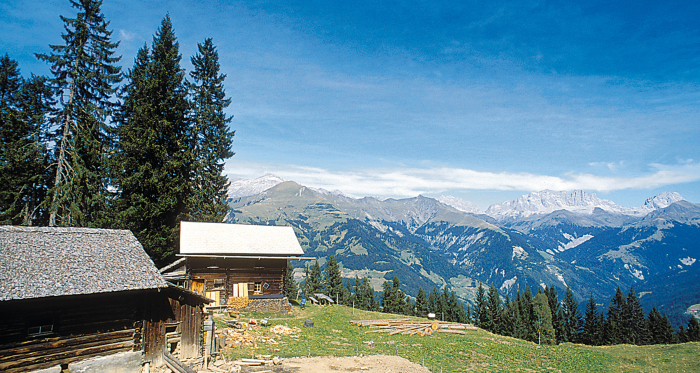 Alp Lengweid