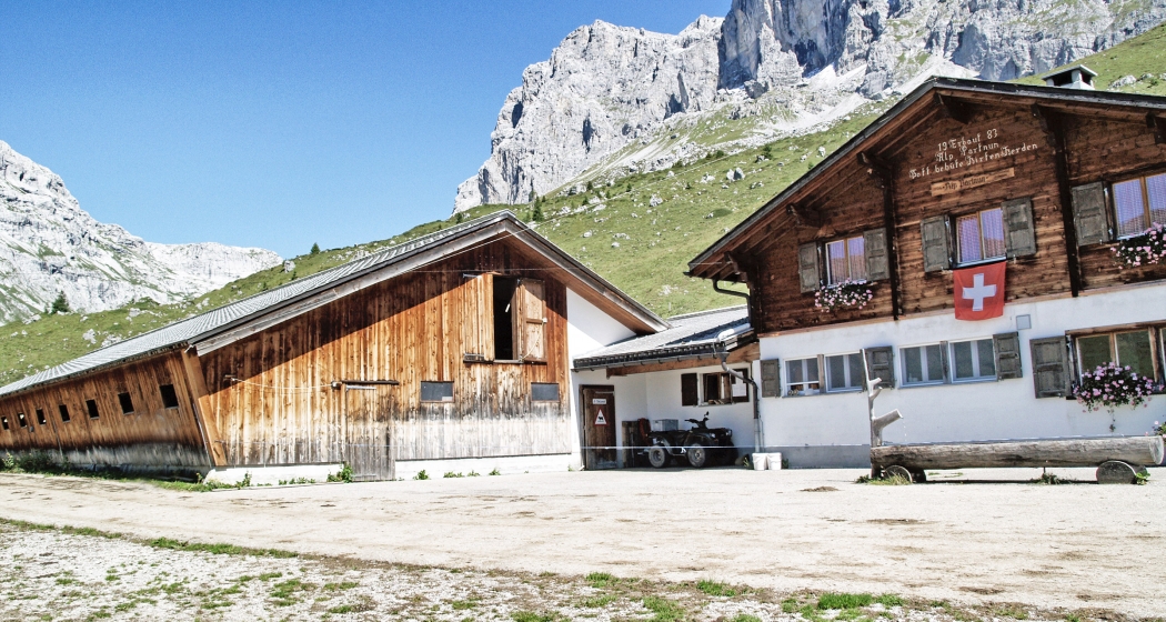 Alp Partnun (© D. Göpfert) Alp Partnun