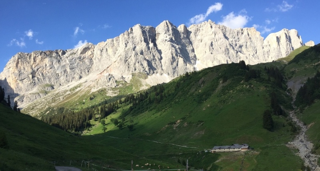 Grüscher Älpli (© Elsbeth Egli) Grüscher Älpli
