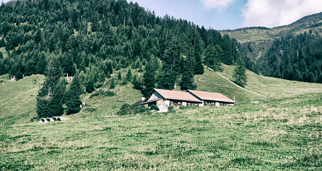 Alp Laubenzug (© unbekannt) Alp Laubenzug