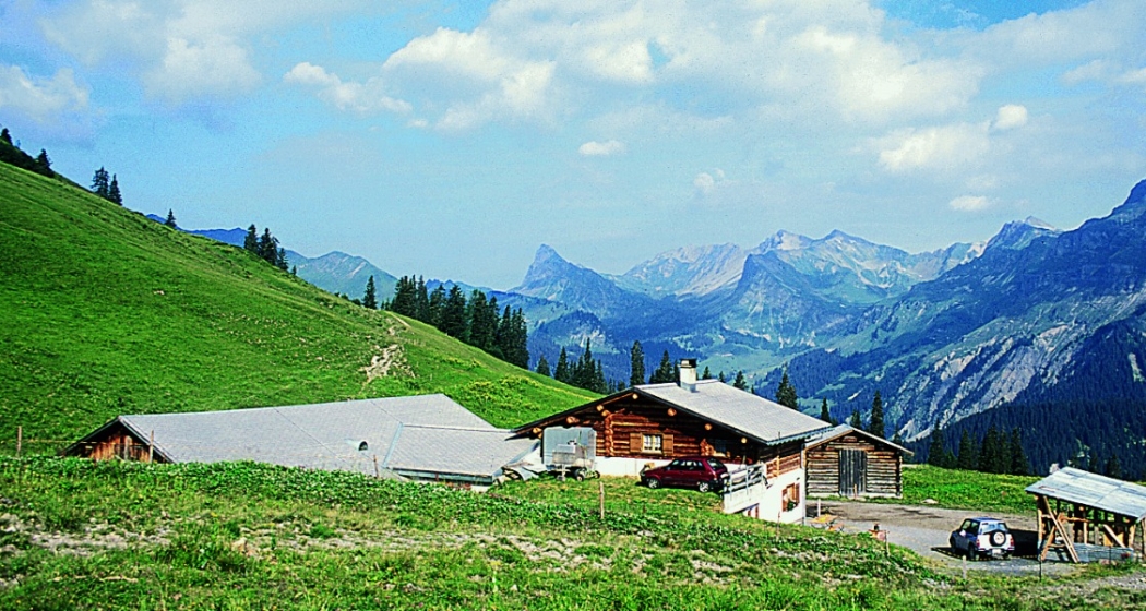 Alp Ludera (© Peter Donatsch) Alp Ludera