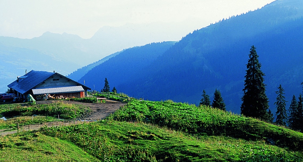 Die idyllisch gelegene Alp Zanutsch
