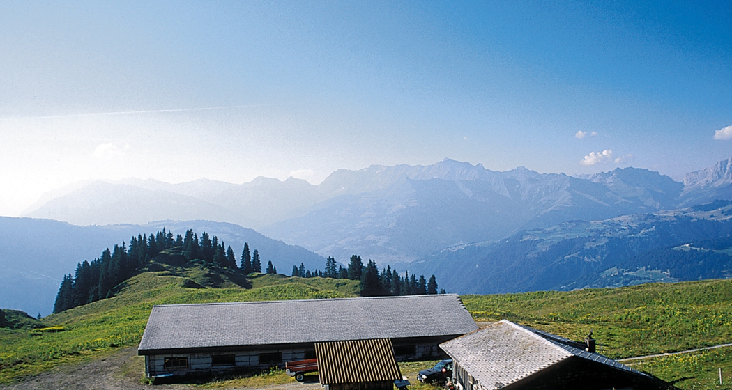 Alp Larein (© Peter Donatsch) Alp Larein
