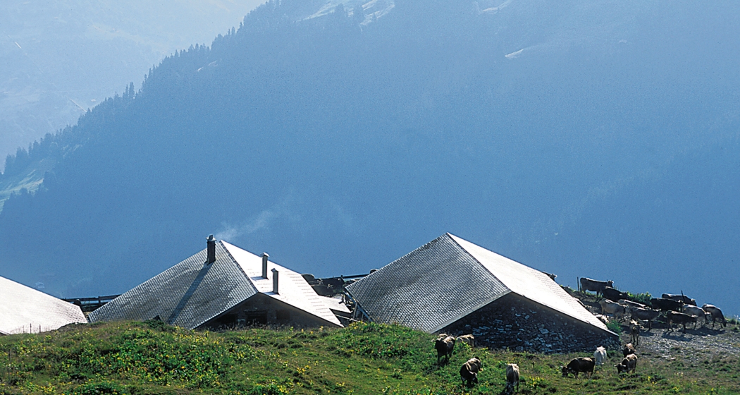 Alp Nova (© Peter Donatsch) Alp Nova