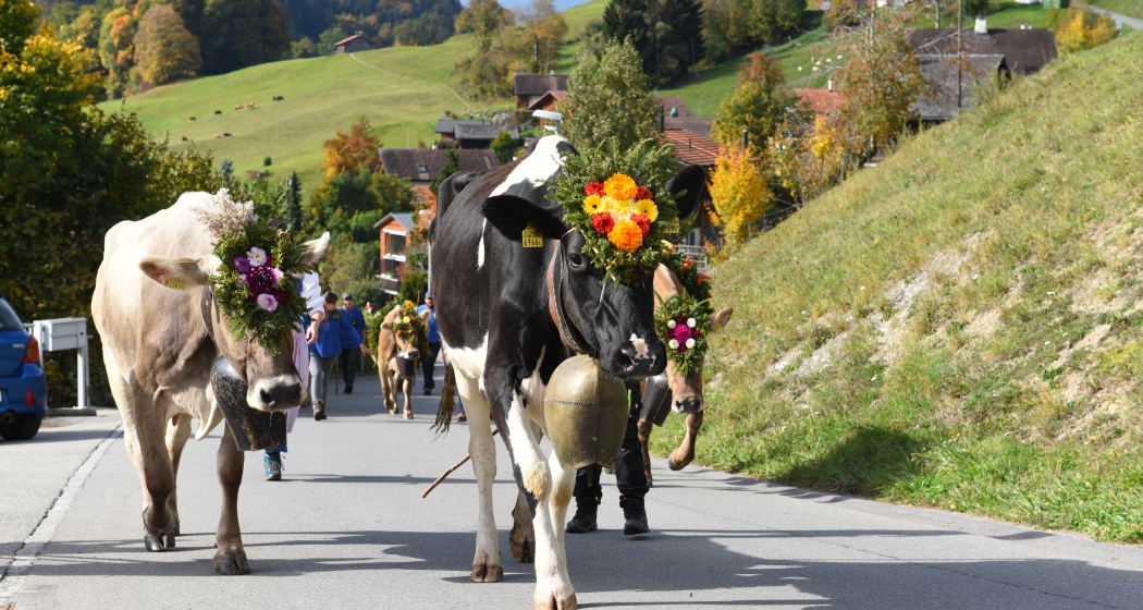 (Foto: © Johannes Bärtsch) Alp Spektakel