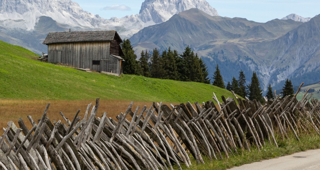 Alpine Pioneer Walser