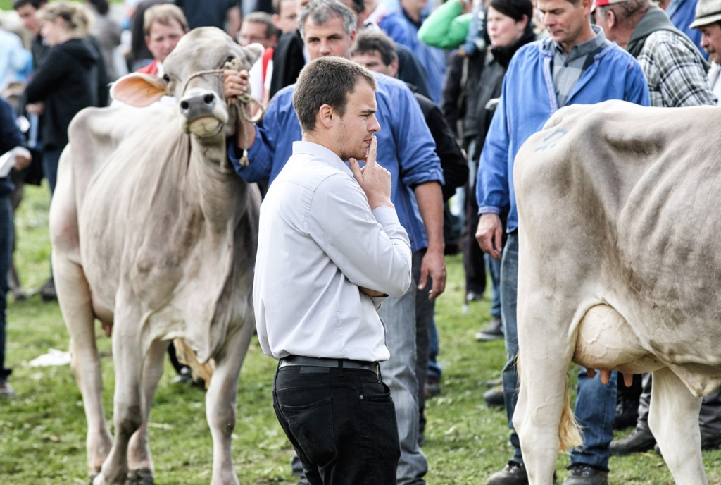 Der Richter ist bemüht eine Favoritin zu küren.