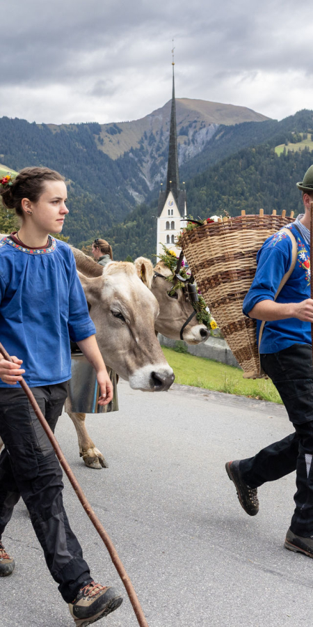 Schön geschmückte Kühe im Dorf Seewis Seewis feiert seinen Alpsommer