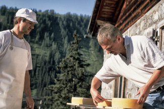 Gemeinsam wird kontrolliert wie der Käse reift