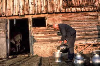 Senn füllt die Alpmilch in einen andern Kessel um