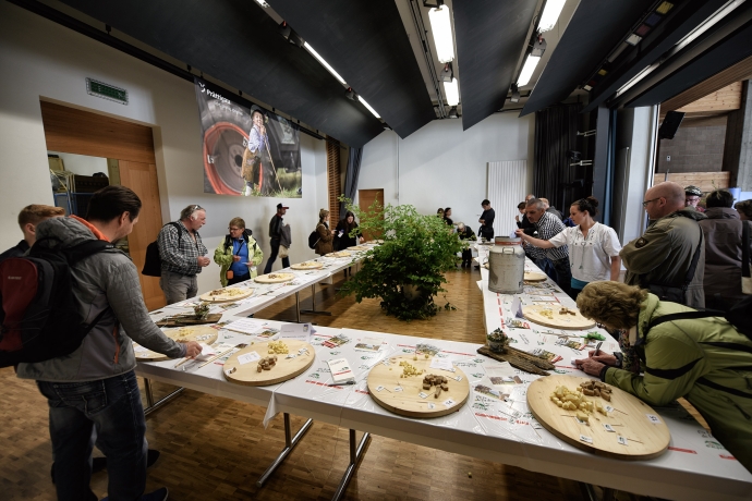 Degustation von Alpkäse in Seewis (© Ziitla.ch) Degustation von Alpkäse in Seewis