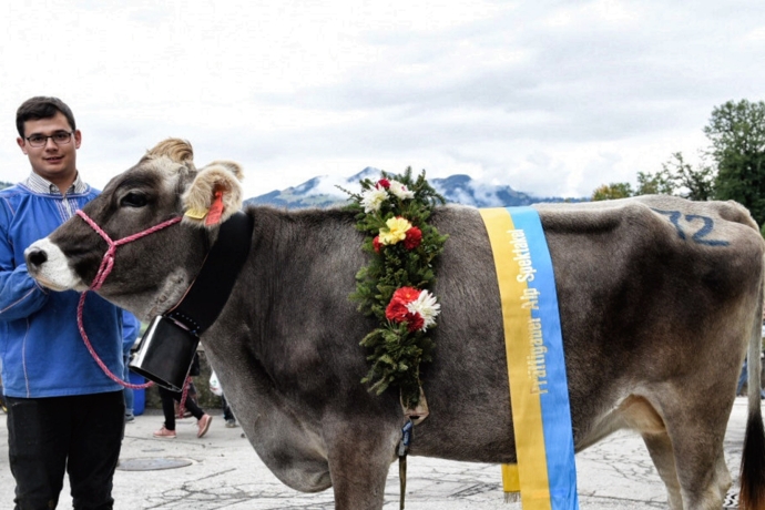 Beresina die Alpkönigin 2019