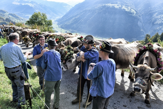 Bauern unterhalten sich vor dem Alpabzug (© Ziitla.ch) Bauern unterhalten sich vor dem Alpabzug