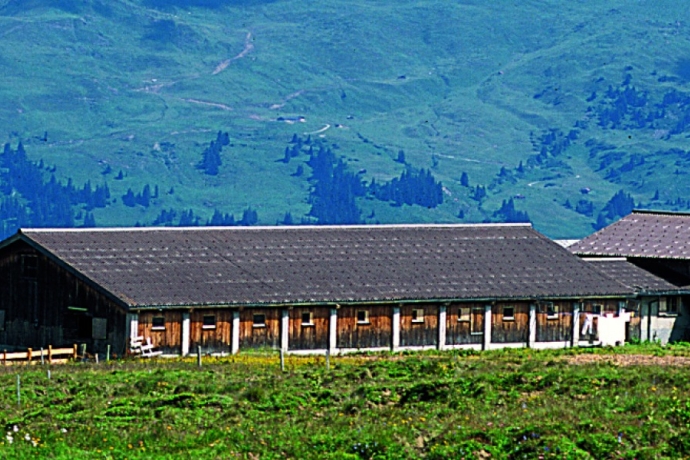 Fideriser Duranna (© Peter Donatsch) Fideriser Duranna