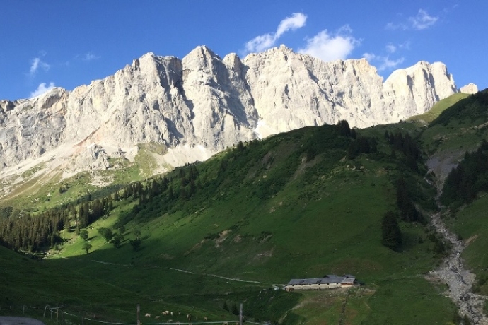 Grüscher Älpli (© Elsbeth Egli) Grüscher Älpli