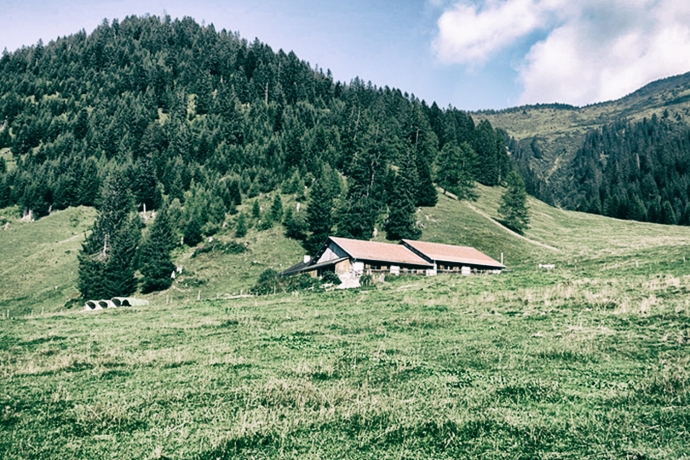 Alp Laubenzug (© unbekannt) Alp Laubenzug