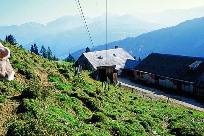 Alp Lerch Furna (© Peter Donatsch) Alp Lerch Furna