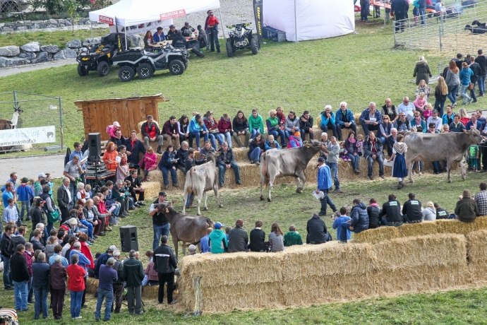 Viele Zuschauer säumen den Präsentationsring (© Ziitla.ch) Viele Zuschauer säumen den Präsentationsring