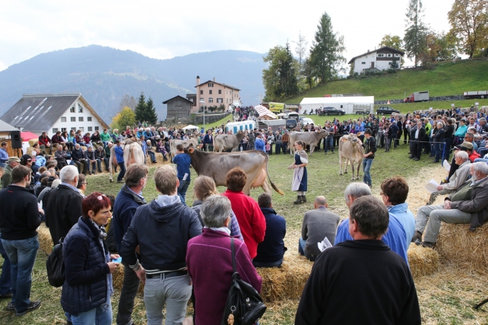 Interessierte Zuschauer am Rinder Spektakel (© Ziitla.ch) Interessierte Zuschauer am Rinder Spektakel