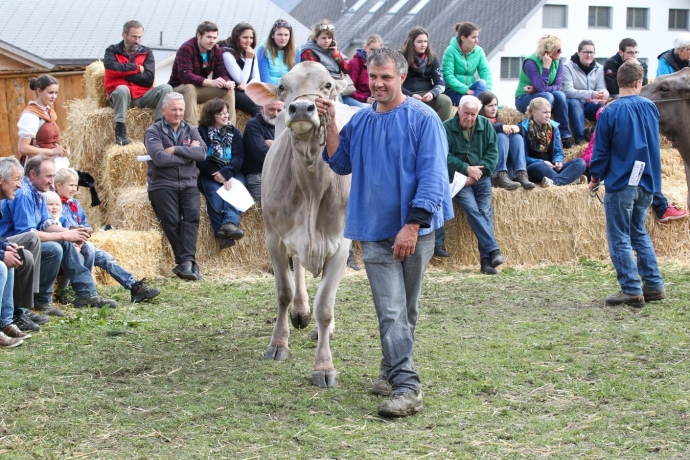 Die Bauern führen ihre Favoritinnen vor (© Ziitla.ch) Die Bauern führen ihre Favoritinnen vor