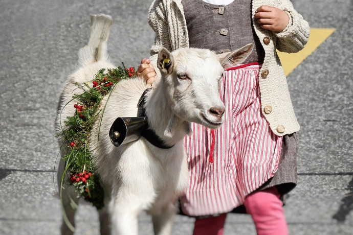 Alp Spektakel Kinderumzug Mädchen mit Ziege (© Ziitla.ch) Alp Spektakel Kinderumzug Mädchen mit Ziege