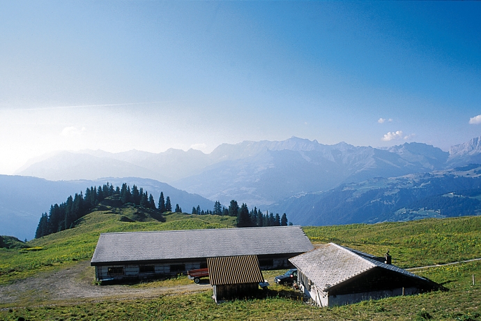 Alp Larein (© Peter Donatsch) Alp Larein