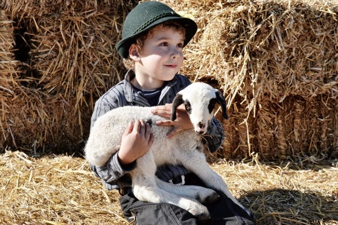 Bauernjunge präsentiert stolz sein Lieblingsschäflein.