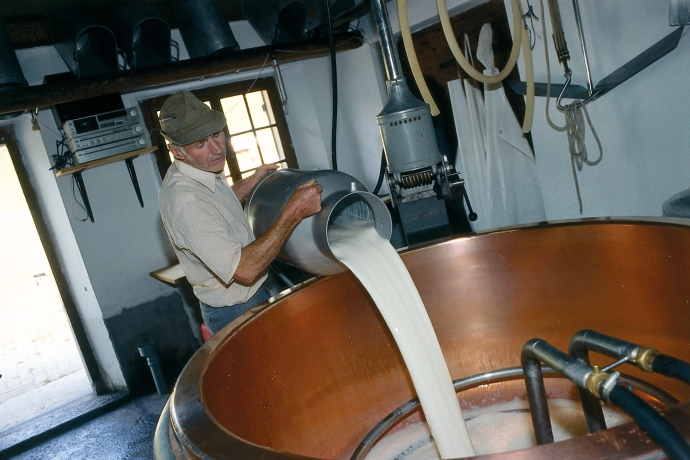 Bauer kippt Milch in das grosse Käsekessi (© Peter Donatsch) Bauer kippt Milch in das grosse Käsekessi