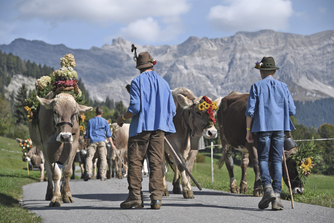 Rückblick Alp Spektakel 2021 ©www.ziit-la.ch Rückblick Alp Spektakel 2021 ©www.ziit-la.ch