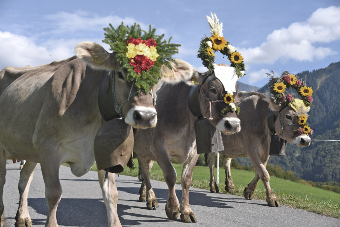 Rückblick Alp Spektakel 2021 ©www.ziit-la.ch Rückblick Alp Spektakel 2021 ©www.ziit-la.ch