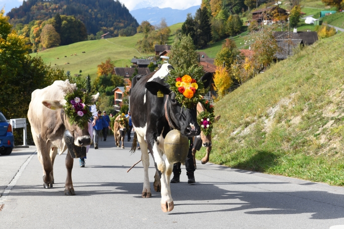 (Foto: © Johannes Bärtsch) Alp Spektakel
