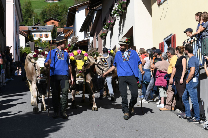 Alpabzug in Seewis Dorf