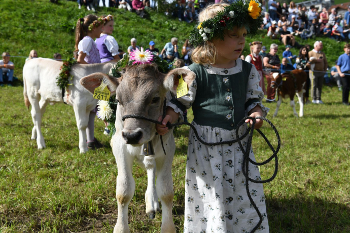 Jungzüchterwettbewerb