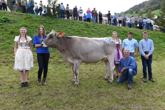 Miss Rinderspektakel 2023 «Kivi», Georg Florin, Serneus Miss Rinderspektakel 2023 «Kivi», Georg Florin, Serneus
