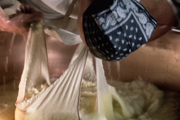 Käser nimmt den Bruch aus dem Käsekessel