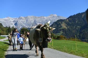 Prättigauer Alp Spektakel Alpabzug 2023