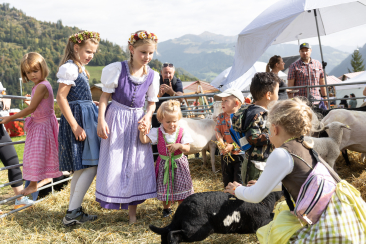 Streichelzoo Alp Spektakel 2023