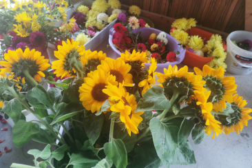 Tschäppeln in Seewis